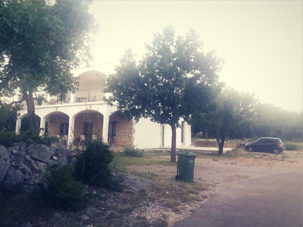 Apartmani Lucija Maslenica Bagian luar foto